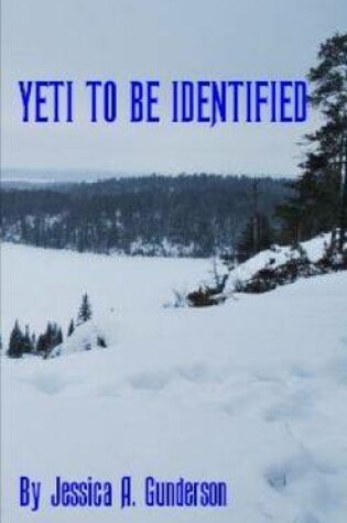 Cover of Yeti to Be Identified