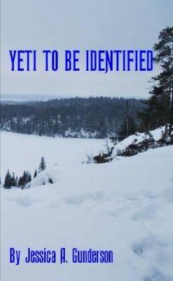 Book cover for Yeti to Be Identified