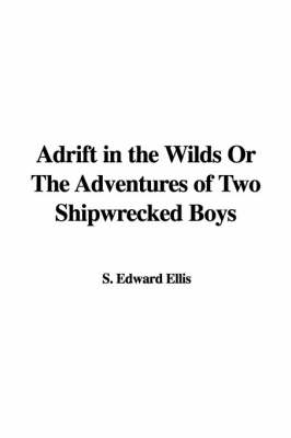 Book cover for Adrift in the Wilds or the Adventures of Two Shipwrecked Boys
