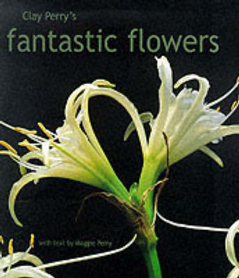 Book cover for Clay Perry's Fantastic Flowers