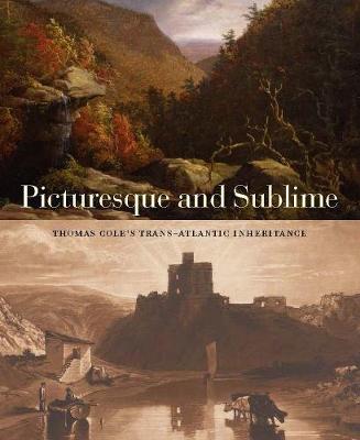 Book cover for Picturesque and Sublime