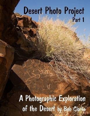 Book cover for The Desert Photo Project : Part 1: A Photographic Exploration of the Desert