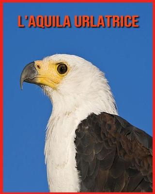 Book cover for L'aquila Urlatrice