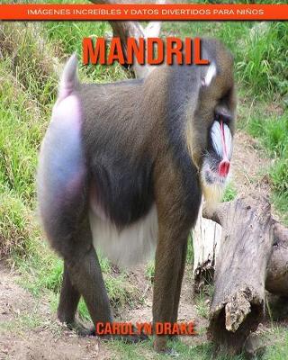 Book cover for Mandril