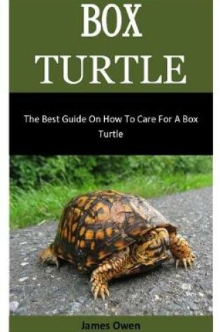 Cover of Box Turtle