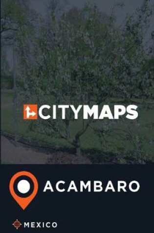 Cover of City Maps Acambaro Mexico