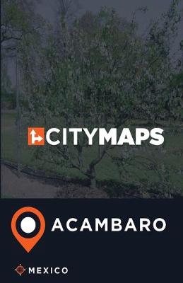 Book cover for City Maps Acambaro Mexico