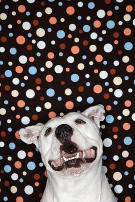 Book cover for White Dog Tripping on Polka Dots Journal