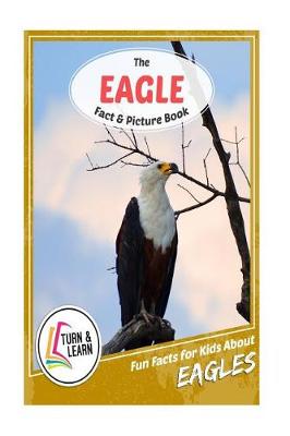 Book cover for The Eagle Fact and Picture Book