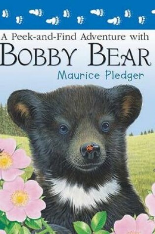 Cover of A Peek-And-Find Adventure with Bobby Bear