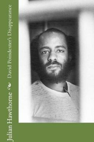 Cover of David Poindexter's Disappearance
