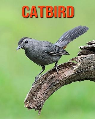 Book cover for Catbird