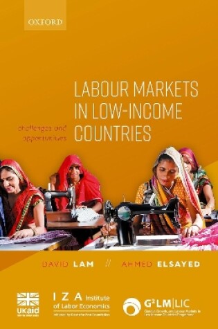 Cover of Labour Markets in Low-Income Countries