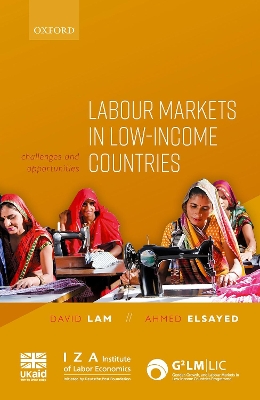 Book cover for Labour Markets in Low-Income Countries