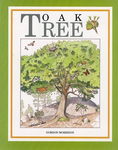 Book cover for Oak Tree