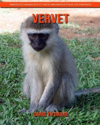 Book cover for Vervet