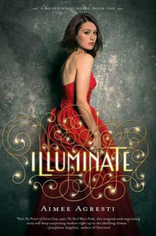 Cover of Illuminate
