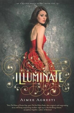 Cover of Illuminate