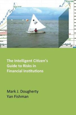 Cover of The Intelligent Citizen's Guide to Risks in Financial Institutions