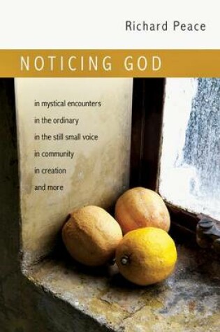 Cover of Noticing God