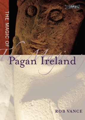 Book cover for The Magic of Pagan Ireland