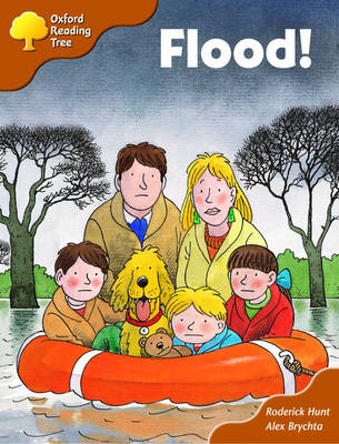 Book cover for Oxford Reading Tree: Stage 8: More Storybooks: Flood!