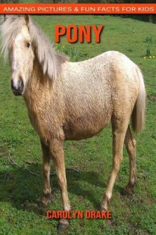 Cover of Pony