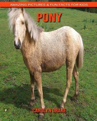 Book cover for Pony