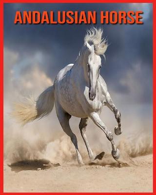 Book cover for Andalusian Horse