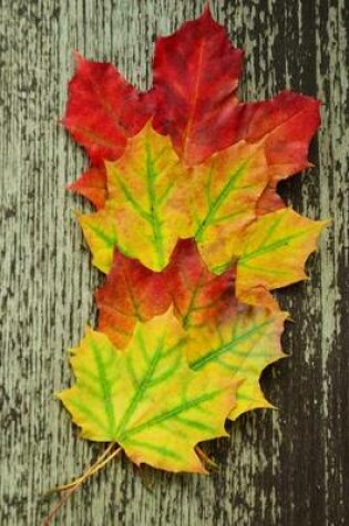 Cover of Three Autumn Leaves Displayed to Show the Color