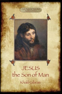 Book cover for Jesus the Son of Man