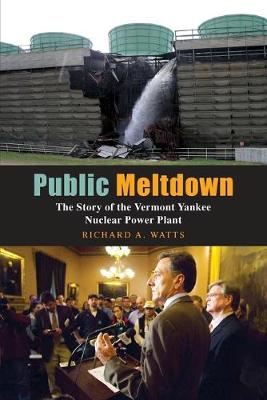 Book cover for Public Meltdown