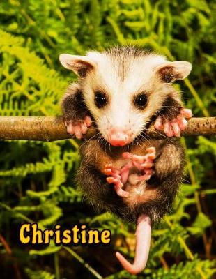 Book cover for Christine