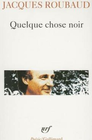 Cover of Quelque chose noir