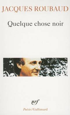 Book cover for Quelque chose noir