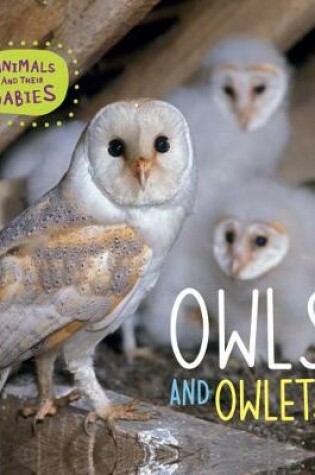 Cover of Owls and Owlets