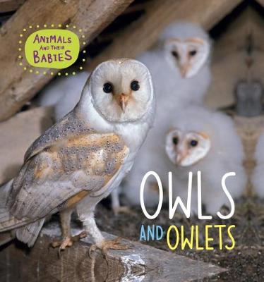 Book cover for Owls and Owlets