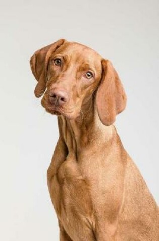 Cover of Vizsla Dog Notebook