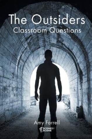 Cover of The Outsiders Classroom Questions