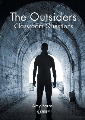 Book cover for The Outsiders Classroom Questions