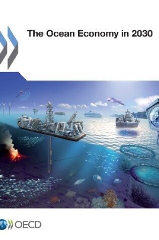 Cover of The Ocean Economy in 2030