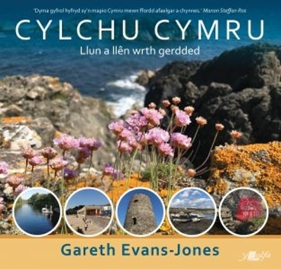 Book cover for Cylchu Cymru