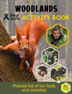 Book cover for Bear Grylls Sticker Activity: Woodlands