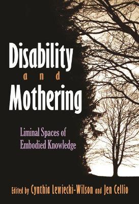 Book cover for Disability and Mothering