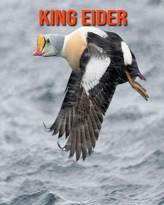 Book cover for King Eider