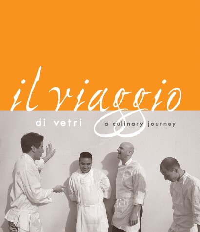 Book cover for Il Viaggio Di Vetri