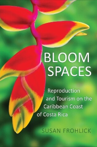 Cover of Bloom Spaces