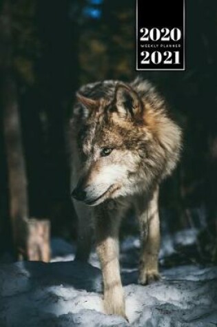 Cover of Wolf Wolves Week Planner Weekly Organizer Calendar 2020 / 2021 - On the Hunt