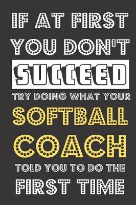 Book cover for If At First You Don't Succeed Try Doing What Your Softball Coach Told You To Do The First Time