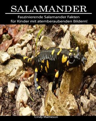 Book cover for Salamander